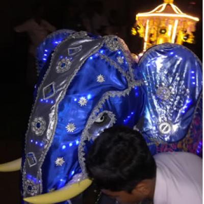 ඇසළ පෙරහැර