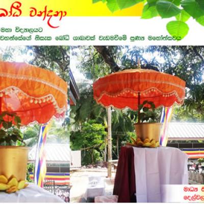 බෝධි රෝපනය